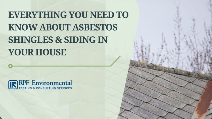 Deteriorating Asbestos Shingles Photograph by Inga Spence